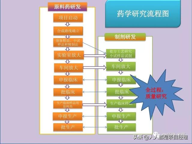 新藥研發(fā)過程及項目管理PPT（新藥研發(fā)過程及項目管理）