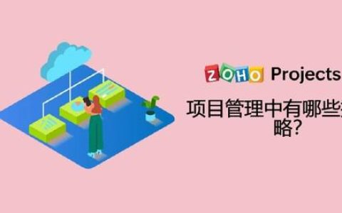 項目管理中有哪些執(zhí)行策略？（項目執(zhí)行策略包含什么）