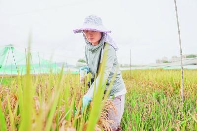 科研經(jīng)費(fèi)管理改革這十年：為人才助力，為創(chuàng)新加速（科研經(jīng)費(fèi)管理新政策）