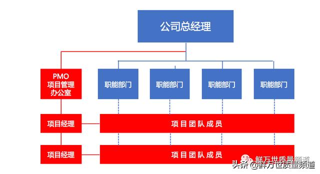 采用矩陣式項目開發(fā)模式，是否還需要建立PMO項目管理辦公室？（項目管理辦公室pmo實踐指南）