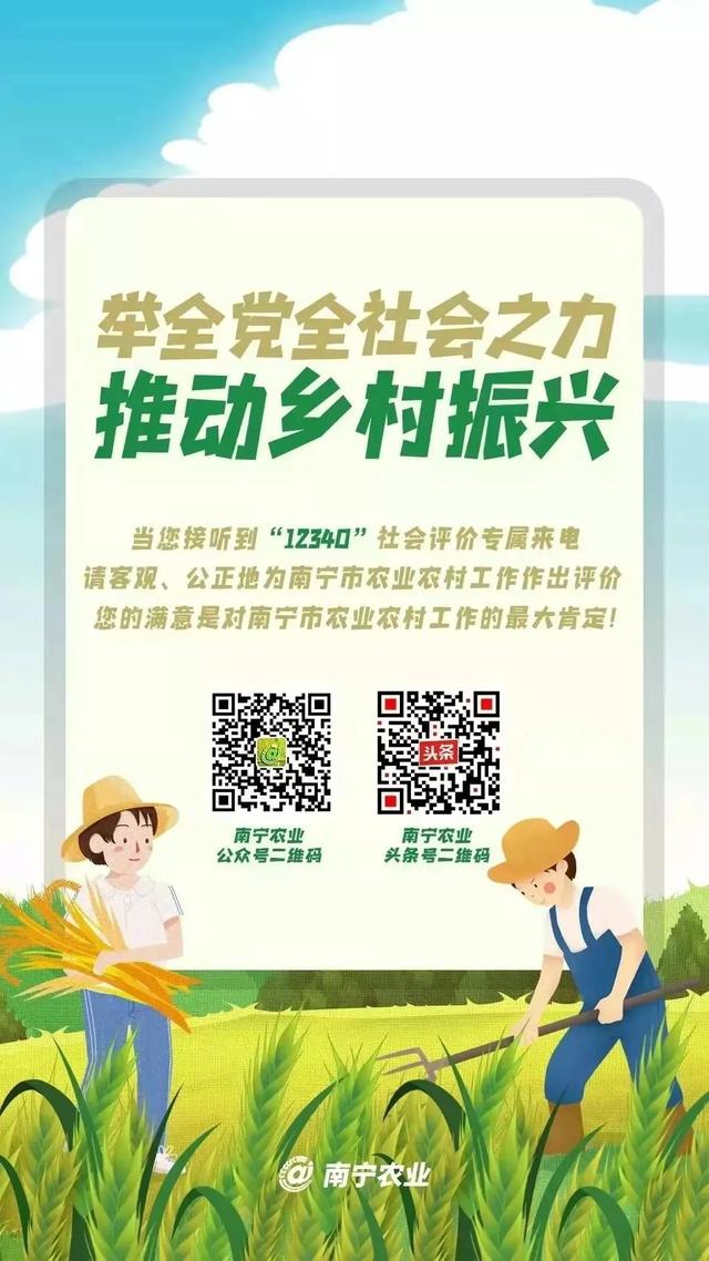 緊急重要丨南寧市2022年市本級(jí)財(cái)政投資鄉(xiāng)村振興農(nóng)業(yè)全產(chǎn)業(yè)鏈提升項(xiàng)目申報(bào)開始！