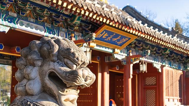 本科專業(yè)就業(yè)前50強，薪資較高的15個職業(yè)盤點，互聯(lián)網(wǎng)類較多（本科就業(yè)前50名專業(yè)）