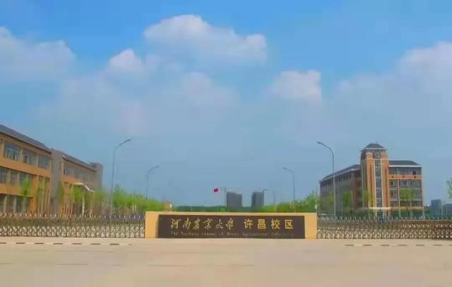 @小21，返校攻略，看這一篇就夠了（返校攻略第一章）