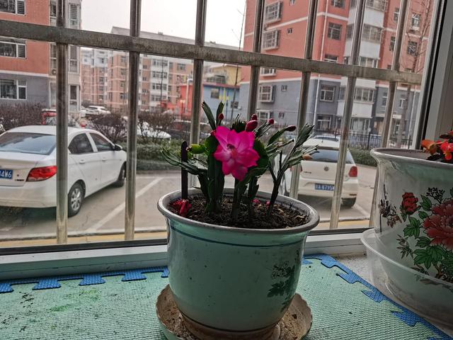 會計專題二無形資產(chǎn)（會計 無形資產(chǎn)）