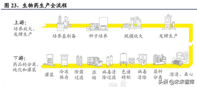 醫(yī)藥生物行業(yè)研究及中期策略：把握醫(yī)藥產業(yè)升級下的新紅利（生物醫(yī)藥產業(yè)布局）