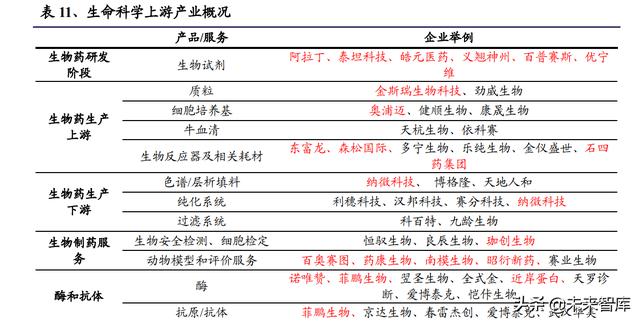 醫(yī)藥生物行業(yè)研究及中期策略：把握醫(yī)藥產業(yè)升級下的新紅利（生物醫(yī)藥產業(yè)布局）