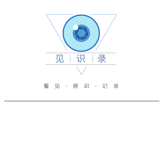 雙向6車道，全長1.6公里，楊高中路改建雙“人”字形高架跨線橋主線通車